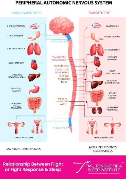 Tongue Tie & Sleep Apnea | | TMJ, Tongue Tie & Sleep Institute – Tongue Tie Treatment in Mumbai, India | |